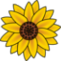 WhisperDesktop(电脑音频转文字软件)v1.8 免费版
