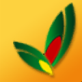 达物流托运发货收款管理软件电脑版 V33.2.1 官方版