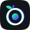 浆果录屏电脑版 V1.0.0.325 官方版