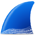 wireshark便携版下载v4.2.5