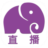 大象直播软件最新版电脑版 1.0 去广告绿色版