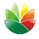EximiousSoft Logo Designer(Logo设计软件)v5.12 中文绿色版