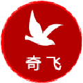 奇飞网络推广效果分析工具 电脑版V1.2.1 绿色版