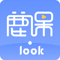 鹿课Look 电脑版2.1.3 官方版