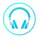 Voicemeeter电脑版 1.0.8.2 官方版