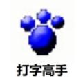 打字高手电脑版 8.3 最新版