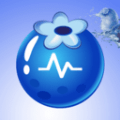 黑莓流量大师安卓版v2.6.7