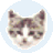 EF File Catalog(文件管理工具)官方版 22.03 绿色免费版