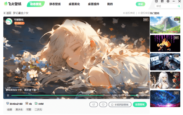 飞火动态壁纸官方版下载v2.3.7.0 电脑版