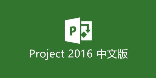 project2016 中文免费版