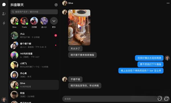 抖音聊天电脑版v1.1.13 官方版