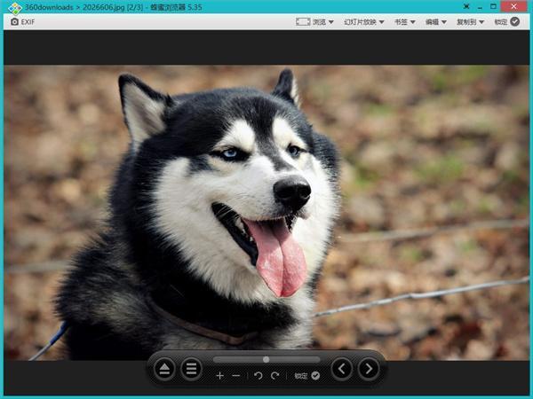 honeyview(蜂蜜浏览器)v5.53 中文版
